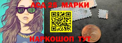 гидра Будённовск