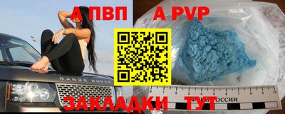 гидра Будённовск