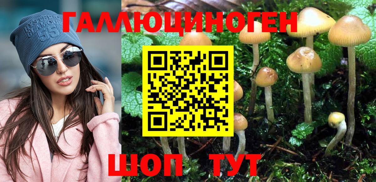 Галлюциногенные грибы Magic Shrooms  Псилоцибиновые грибы мицелий  Павловский Посад  Вход с VPN 