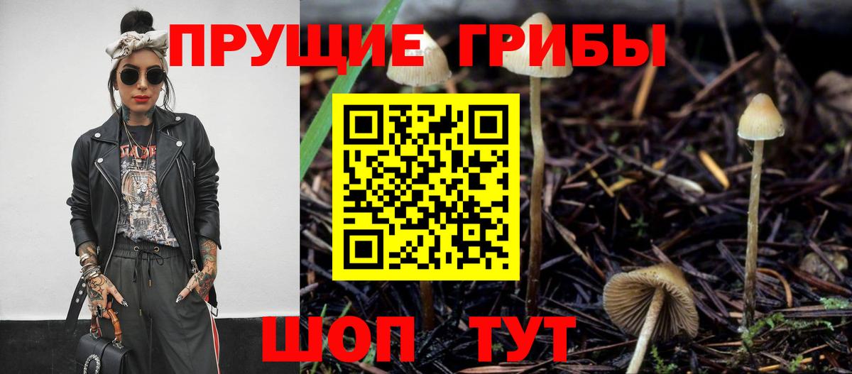 Псилоцибиновые грибы MAGIC MUSHROOMS Павловский Посад